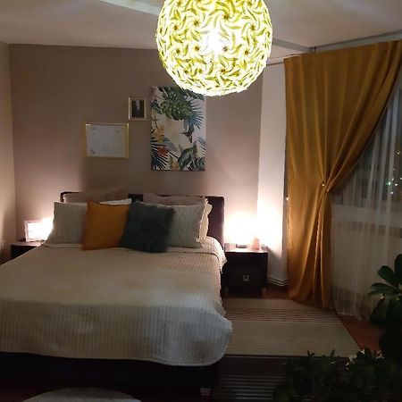 Alba House Apartment Алба Юлия Екстериор снимка